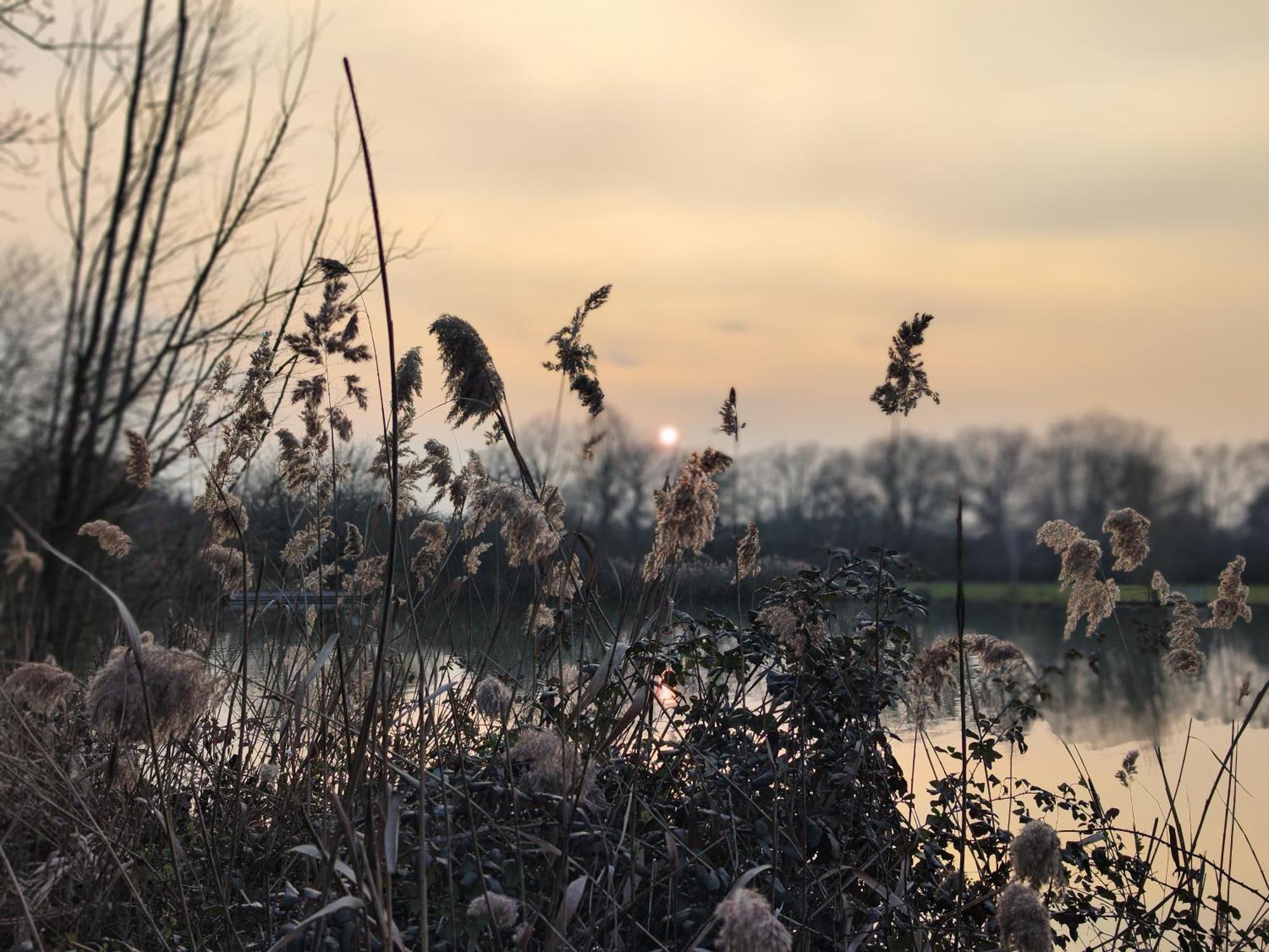 Domaine De La Roseliere • Nature • Brenne Rosnay  Buitenkant foto