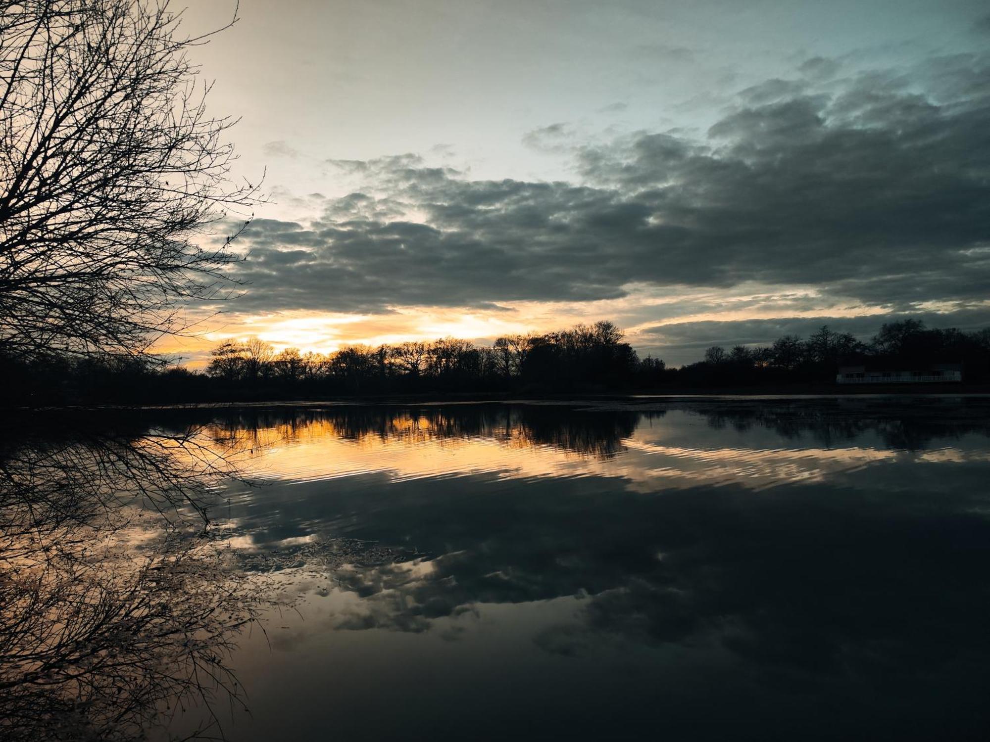 Domaine De La Roseliere • Nature • Brenne Rosnay  Buitenkant foto