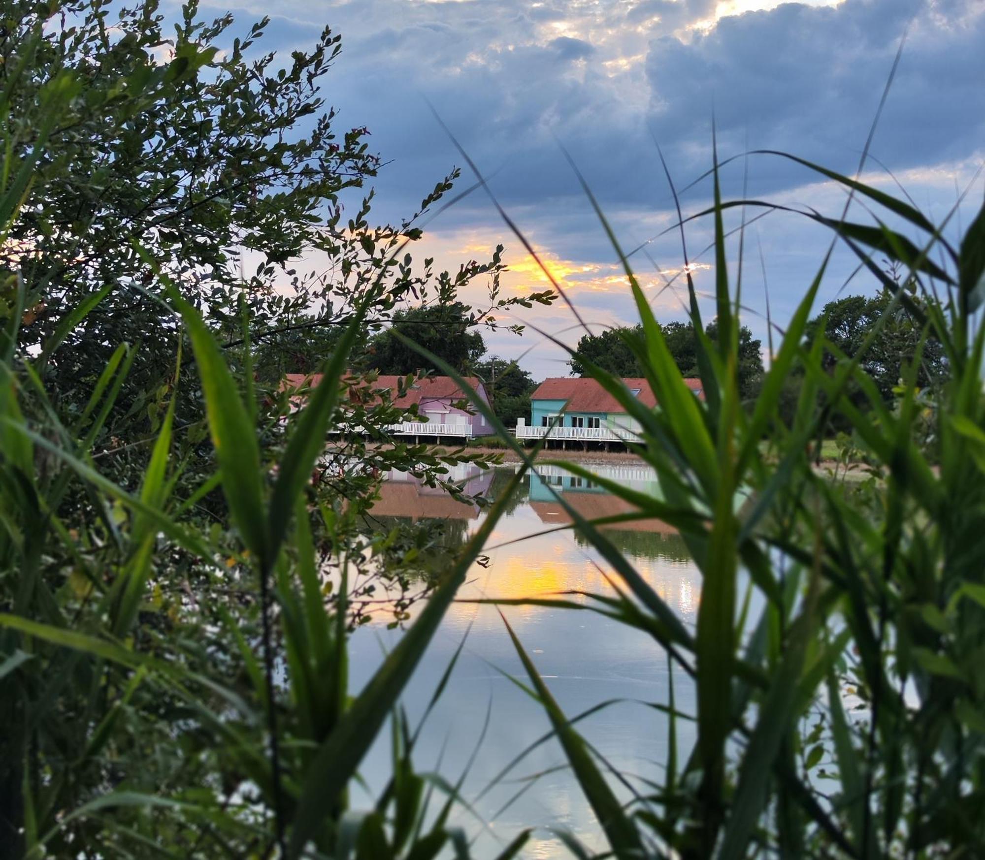 Domaine De La Roseliere • Nature • Brenne Rosnay  Buitenkant foto